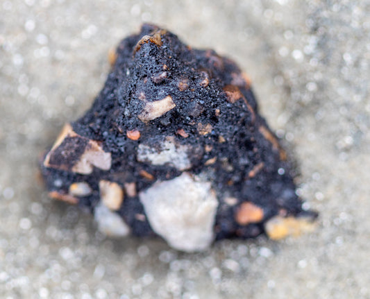 Sea Shells & Rock Photography: black, brown, orange on sand.